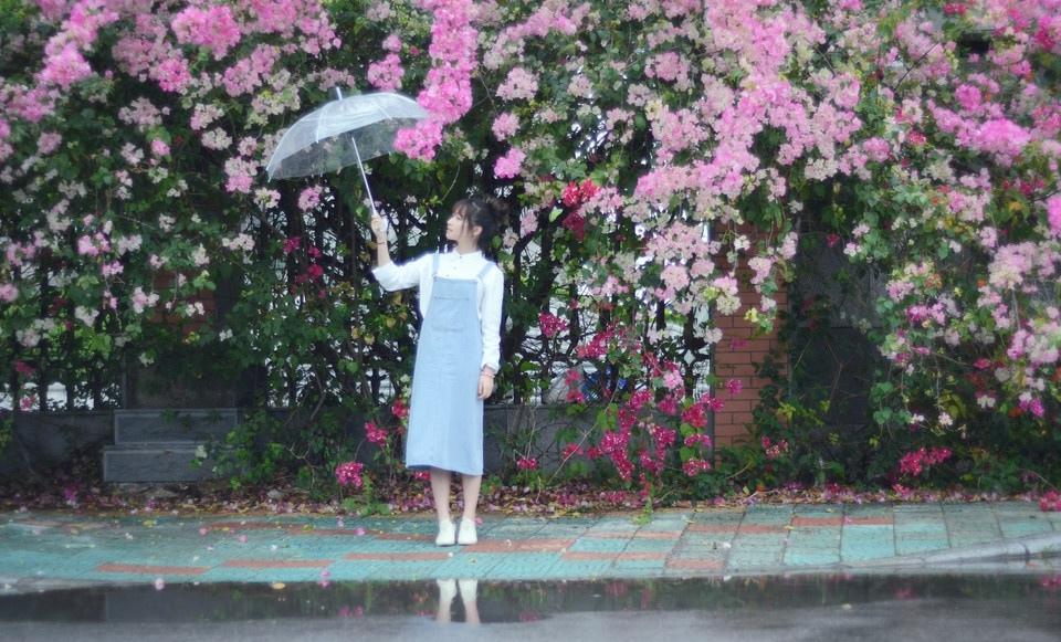 初夏雨后的清新时光写真