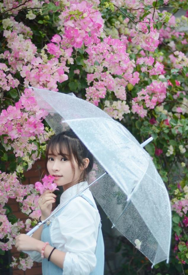 初夏雨后的清新时光写真