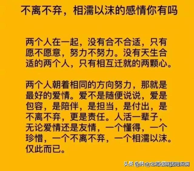 什么是老婆，女人的一生有多难？这是我见过最好的回答；细品