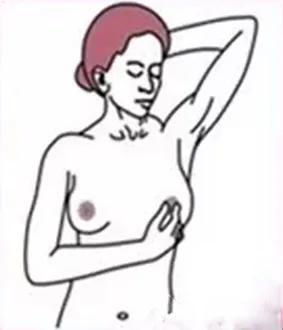 女性应该学会“自摸”——浅谈乳房的自我检查
