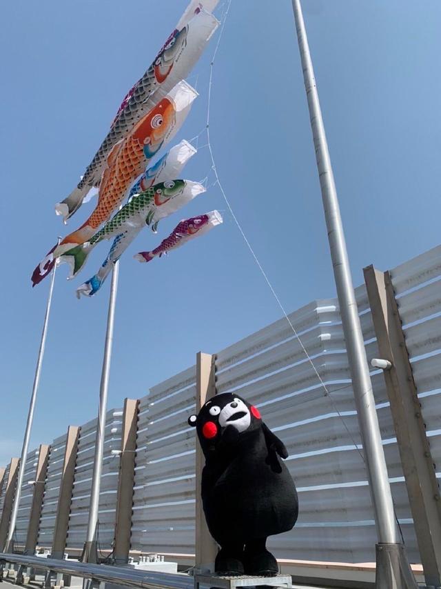 洋葱日语：传统节日小科普：“新年”女儿节 男孩节