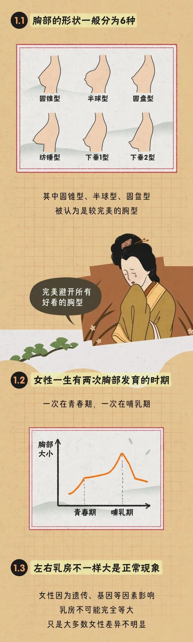 胸部的形状，可以分为几种？女人如何正确计算自己的罩杯？