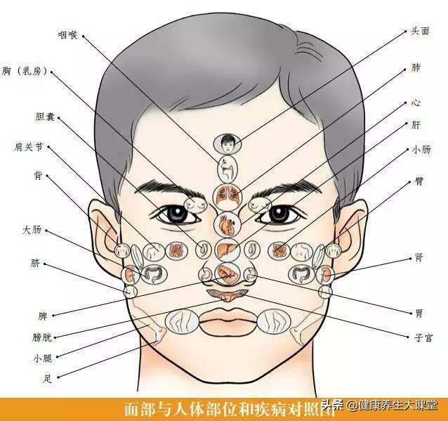 很全面的“面诊”(一看就懂，一学就会）