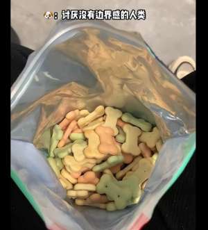 女人和狗(女子吃零食狗子一直盯着自己，低头看后语塞了：我真不是故意的)