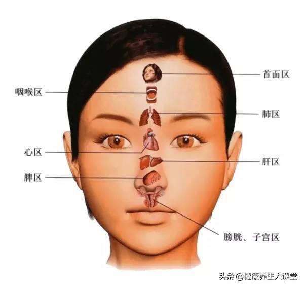 很全面的“面诊”(一看就懂，一学就会）