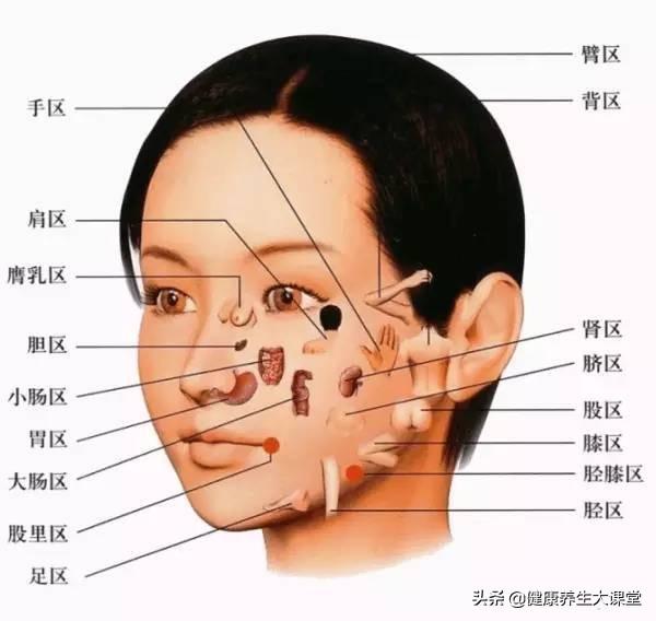 很全面的“面诊”(一看就懂，一学就会）