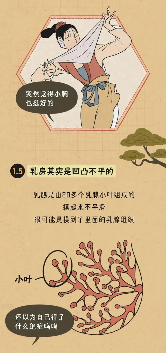 胸部的形状，可以分为几种？女人如何正确计算自己的罩杯？