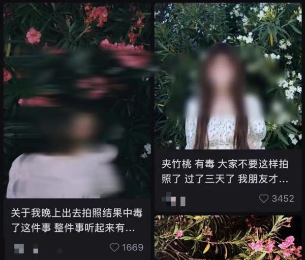 女孩和花合影中毒，网友：安陵容的话要信……