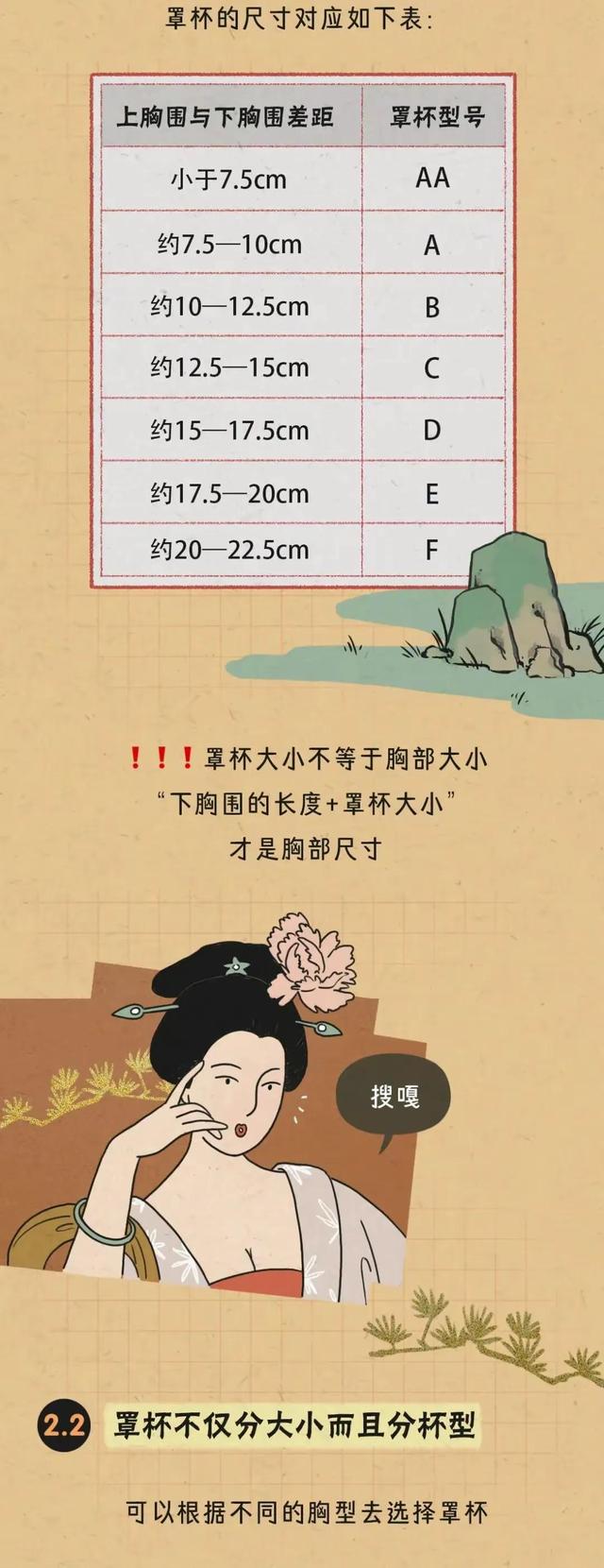 胸部的形状，可以分为几种？女人如何正确计算自己的罩杯？