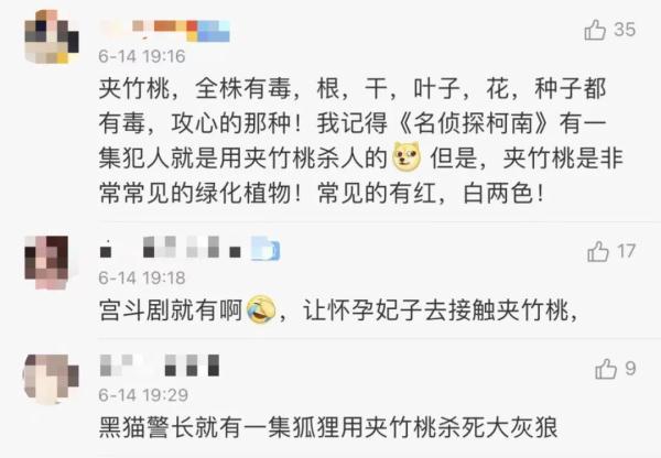 女孩和花合影中毒，网友：安陵容的话要信……