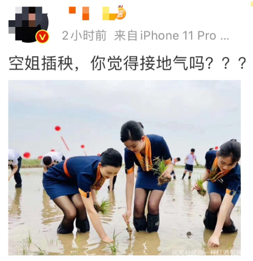 身着靓丽制服的青航空姐空少下地插秧，你怎么看？