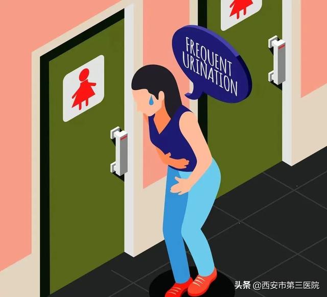 女性健康｜为何女性也会尿频？