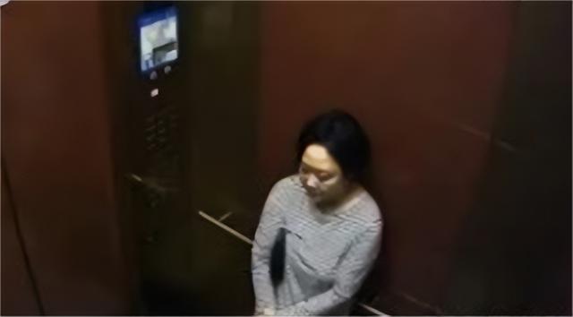 韩国财阀夫人李美兰：住地下室，被丈夫和儿女殴打，56岁跳江自尽